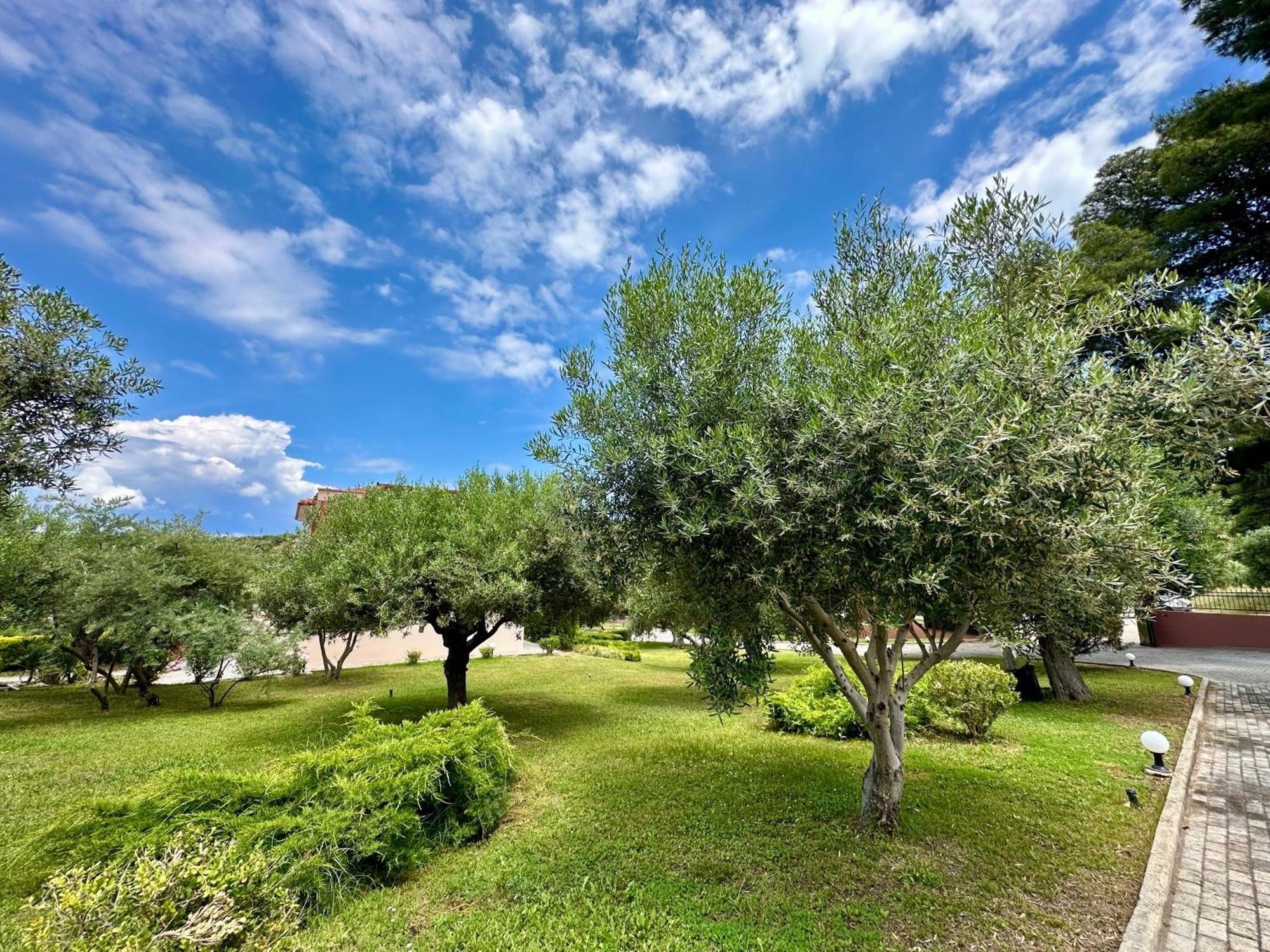 Agrili Apartments & Rooms Elia Nikitis Zewnętrze zdjęcie
