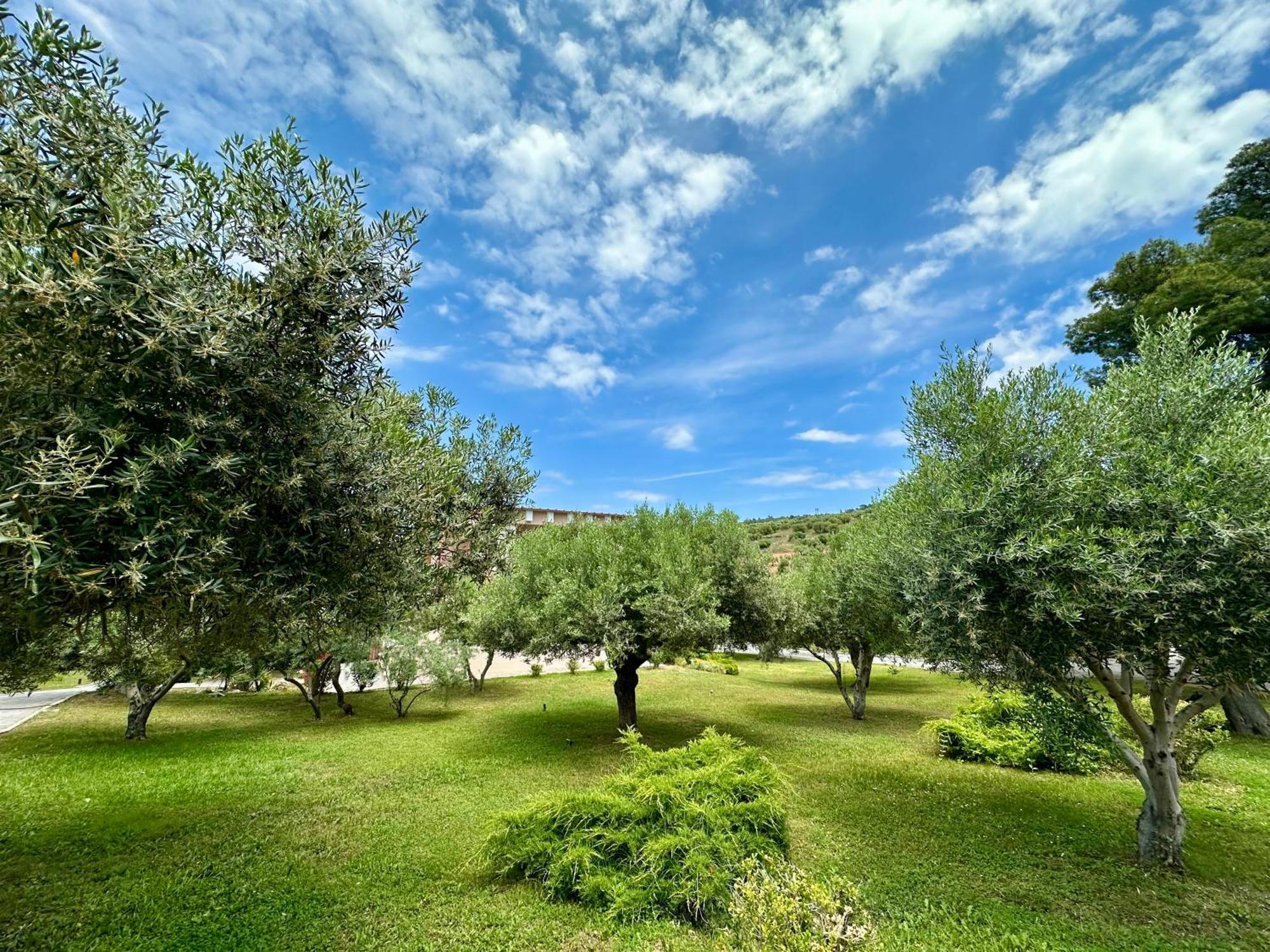 Agrili Apartments & Rooms Elia Nikitis Zewnętrze zdjęcie